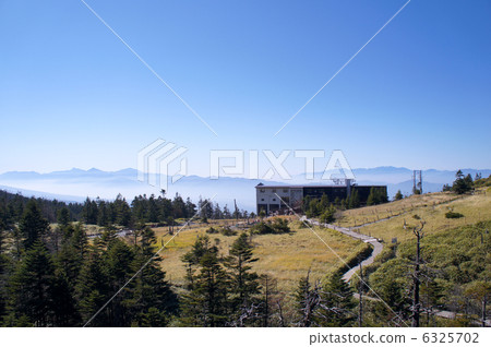 Tsuboniwa Tsuboniwa 6325702