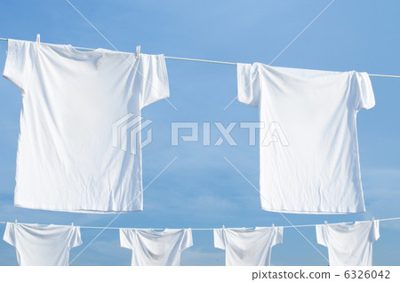 白色T卹 白色T卹 6326042