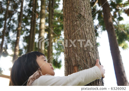 樹木和女孩 6326092
