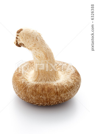 生香菇 生香菇 6326388