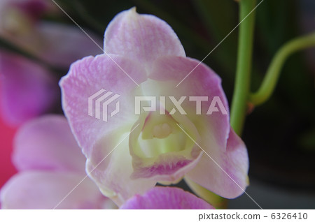 Denfare Denfare 6326410