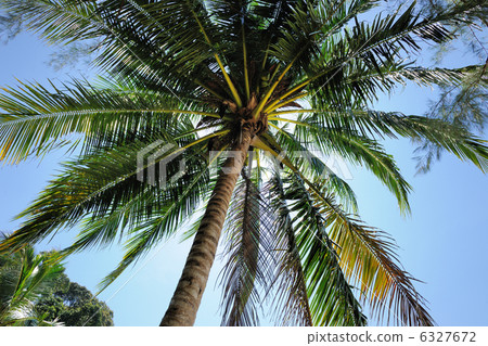 Beautiful beach Beautiful beach 6327672