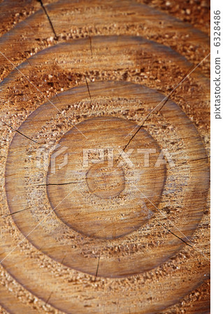 Cedar rings Cedar rings 6328486