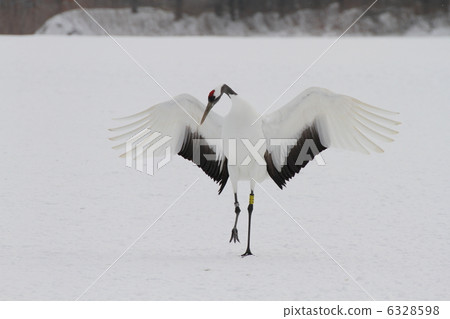 Dandoral cranes Dandoral cranes 6328598