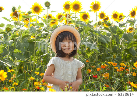 Sunflower field and girl Sunflower field and girl 6328614