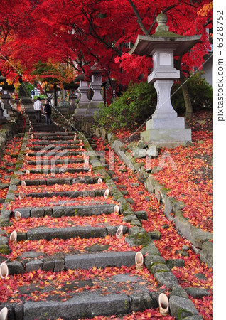 The entrance of a maple The entrance of a maple 6328752