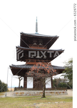 Lotusuji Temple of Ikaruga 6329772