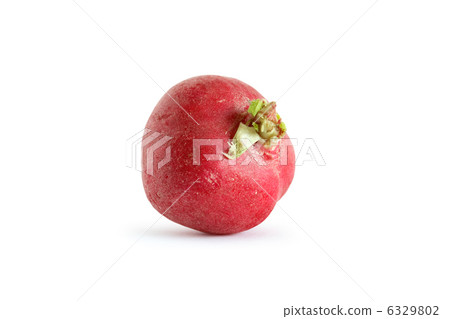 Radish On White 6329802