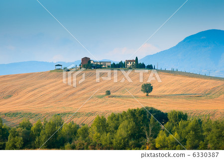 Tuscany landscape in Val d'Orcia Tuscany landscape in Val d'Orcia 6330387