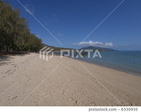 澳大利亞的Dingo海灘 6330930