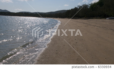 澳大利亞的Dingo海灘 6330934