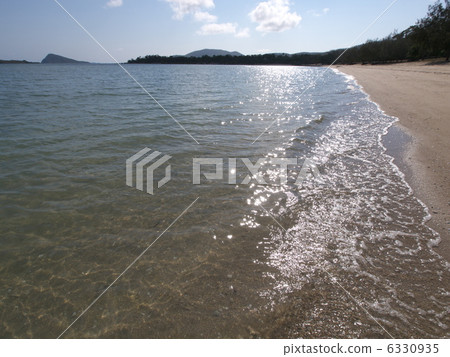 澳大利亞的Dingo海灘 6330935