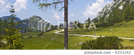 Mother Nature - Landscape of Austrian alp Tauplitz 6331242