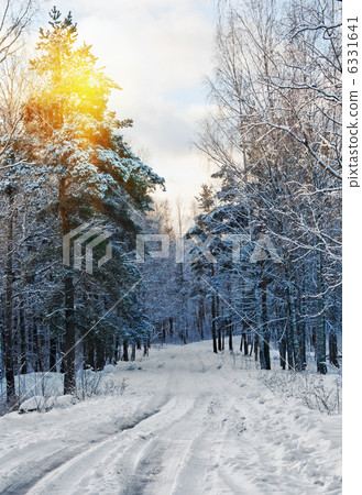 sunset and track road through the winter woods sunset and track road through the winter woods 6331641