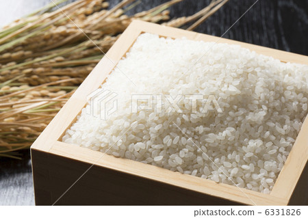 白米飯和穗飯 白米飯和穗飯 6331826