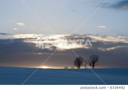 Biei on the hill Biei Biei on the hill Biei 6336492