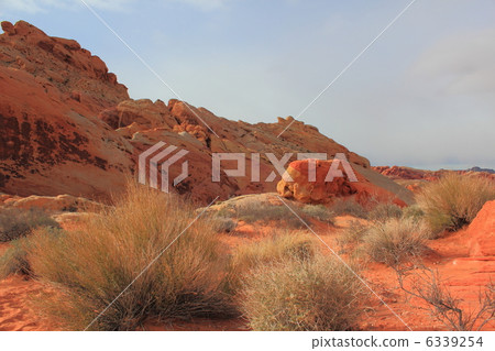 火州立公園 6339254