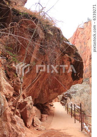 Zion National Park in winter Zion National Park in winter 6339271