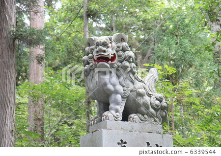 The stone lion dog of Togakushi Shrine's company 6339544