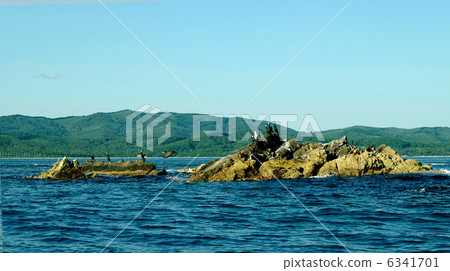 Birds in the sea of Muleje, Baja California, Mexico Birds in the sea of Muleje, Baja California, Mexico 6341701