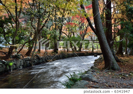 Kamigamo Shrine,Ogawa no Ogawa Kamigamo Shrine,Ogawa no Ogawa 6341947