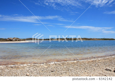 澳大利亞·羅特內斯特島 6342142