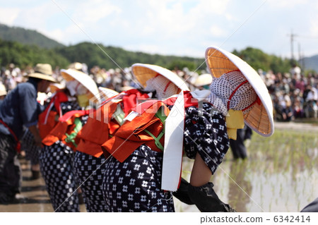 Mibu's flower planted rice balls 6342414