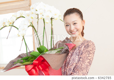 蝴蝶蘭女士 蝴蝶蘭女士 6342785
