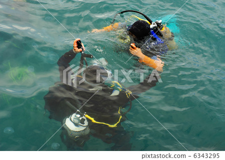 scuba divers scuba dive in sea scuba divers scuba dive in sea 6343295
