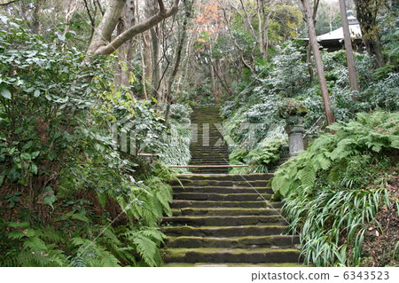 Visit Myokoji Temple in Kamakura famous for Mossa Temple Visit Myokoji Temple in Kamakura famous for Mossa Temple 6343523
