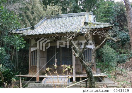 Visit Myokoji Temple in Kamakura famous for Mossa Temple Visit Myokoji Temple in Kamakura famous for Mossa Temple 6343529