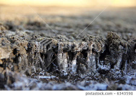 frost pillar 6343598