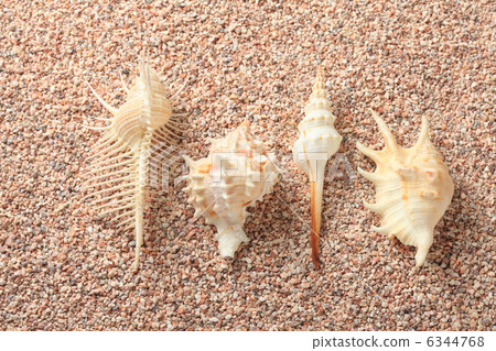 沙子和貝類 6344768