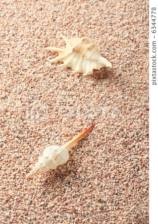 沙子和貝類 6344778