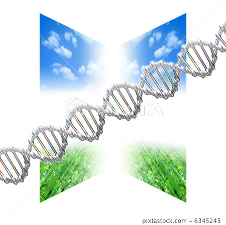 DNA·基因序列圖像 DNA·基因序列圖像 6345245