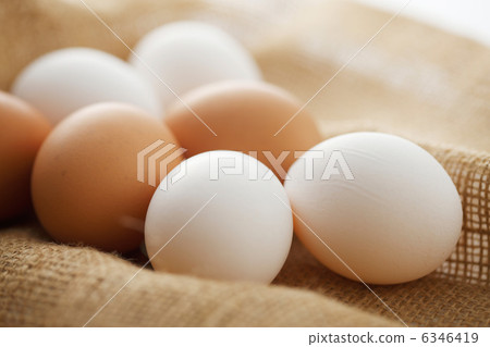 An egg An egg 6346419
