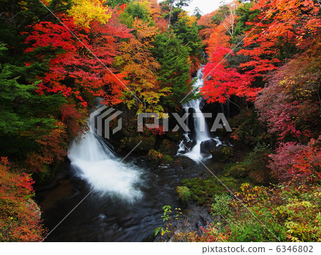 秋季冠瀑布 6346802