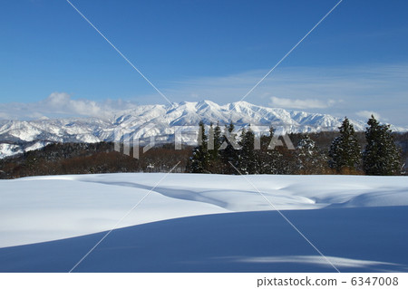 Snowy guardian guard and snowy field 6347008