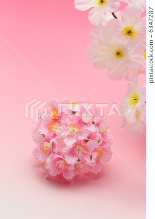 Cherry Blossoms   6347287