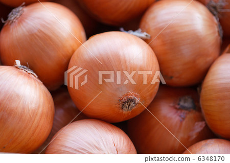 onion  6348170