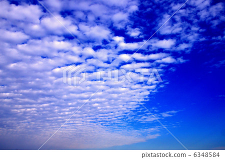 Sardine cloud 6348584
