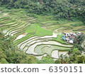 Banga and Rice Terrace 6350151