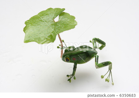 一隻青蛙 6350683