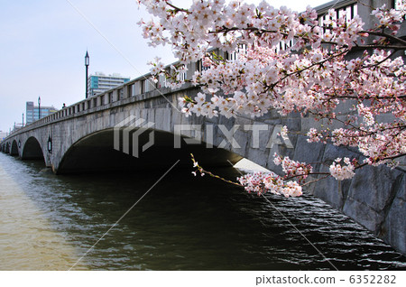 Cherry blossom bridge 6352282