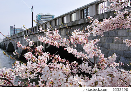 櫻花橋 櫻花橋 6352298