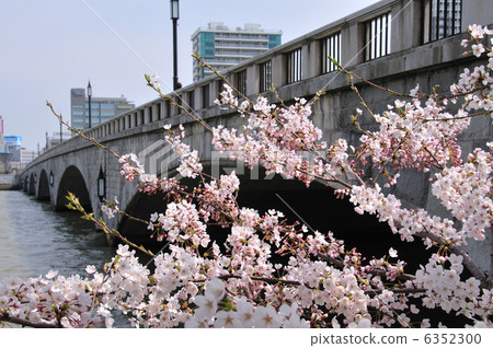 櫻花橋 櫻花橋 6352300