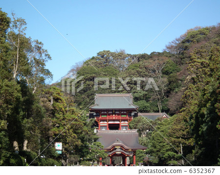 鶴岡八幡宮 鶴岡八幡宮 6352367
