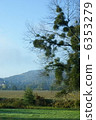 scenery 6353279