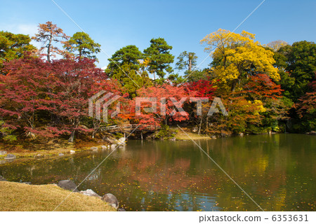 Autumn foliage bridge and Dejima in Senko imperial palace Autumn foliage bridge and Dejima in Senko imperial palace 6353631