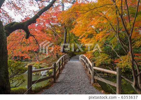 秋天葉子橋樑在Senjong故宮在Nankei 6353637